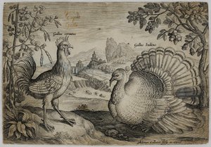 Grabado de un maestro antiguo de Adriaen Collaert